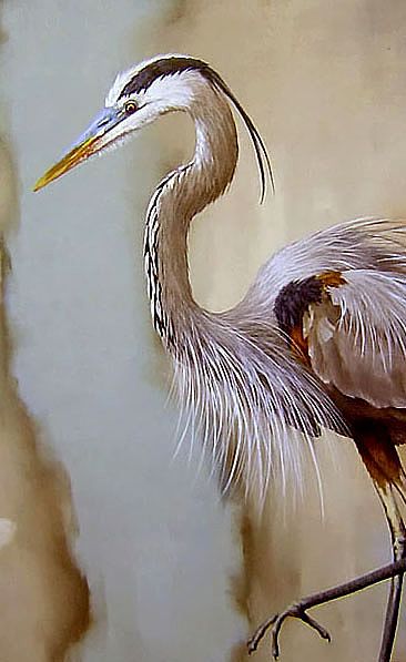 Spot About Gone - detail Heron -  by Linda Herzog