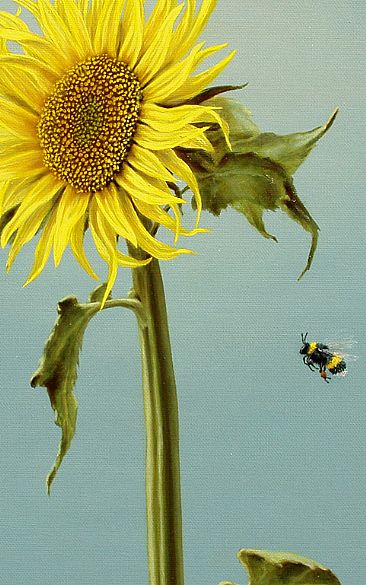 Sunflower - detail flower and bee -  by Linda Herzog