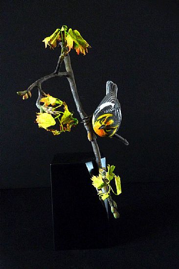 Blackburnian Warbler - Blackburnian warbler by Uta Strelive