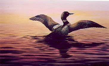 Sunrise on Lost Lake - Common Loon by Michelle Mara