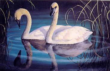 Teton Morning - Trumpeter Swans by Michelle Mara