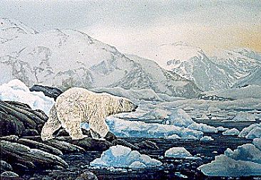 In Praise of the Arctic - Polar Bear by Michelle Mara
