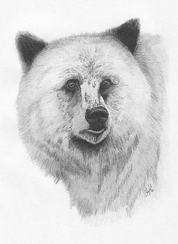 Grizzly - Grizzly Bear by Stuart Arnett