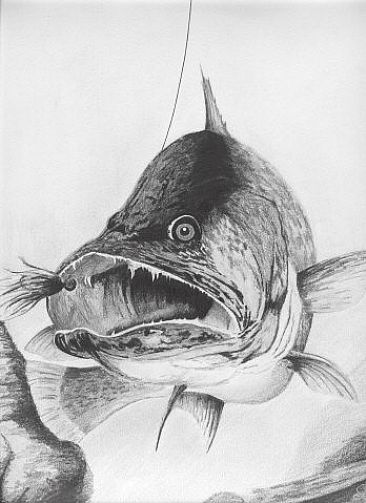 Hungry - Fish - Walleye by Stuart Arnett