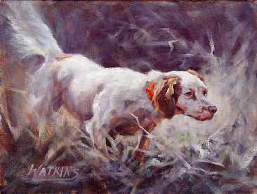 Honey In The Sun - Sporting Dog-Setter by Peggy Watkins