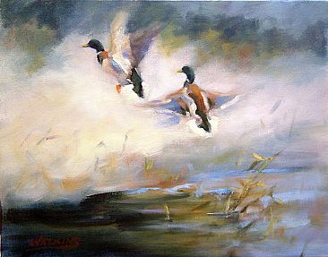Morning Mist - Waterfowl by Peggy Watkins