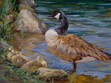 New Season - Canada Geese/North America by Peggy Watkins