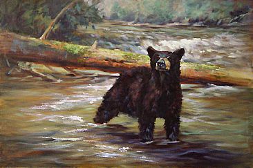Testing The Waters - Black Bear by Peggy Watkins