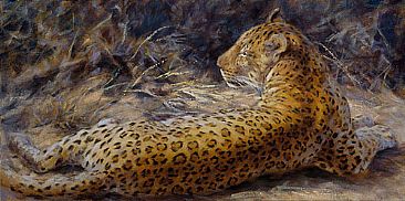 Tjololo - Leopard by Peggy Watkins