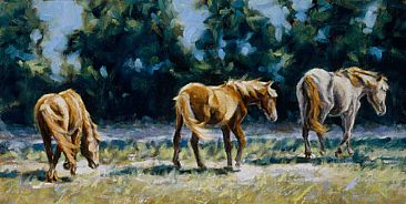 Wild Ponies - Equine by Peggy Watkins