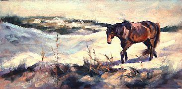 Wild Isle Pony - Horse by Peggy Watkins