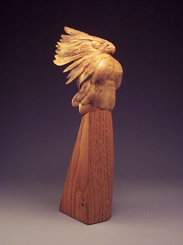 Firebird - Mythical Bird by Hap Hagood