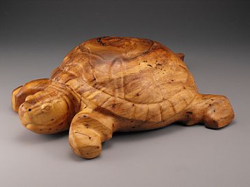 Turtle Island - Turtle by Hap Hagood