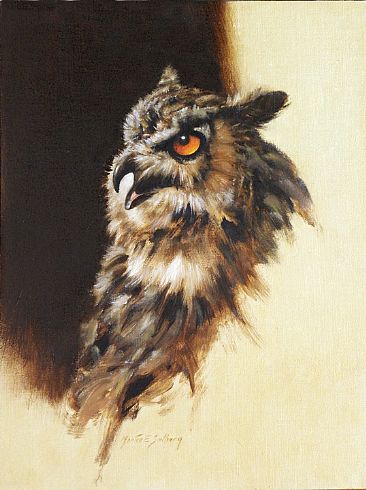 Great Horned Owl Portrait - Great Horned Owl by Morten Solberg