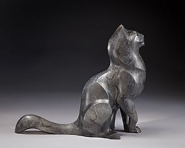 Tika II - domestic cat by  Rosetta