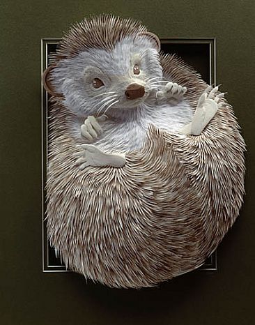 hedgehog -  by Calvin Nicholls
