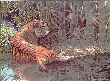 Bamboo Tiger - Cats: Bengal Tiger in a Bamboo Grove / Kanha National Park, India by David Rankin