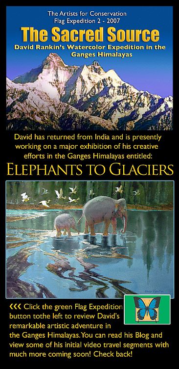 Elephants to Glaciers -  by David Rankin
