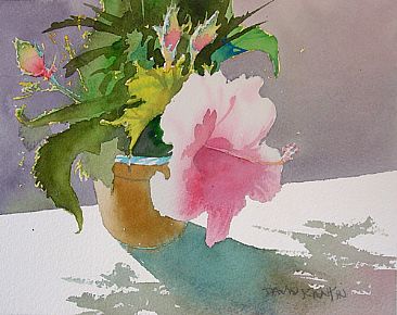 Potted Hibiscus -  by David Rankin
