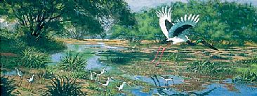 Queen of the Marsh - black necked stork, stilts & kingfisher in Bharatpur by David Rankin