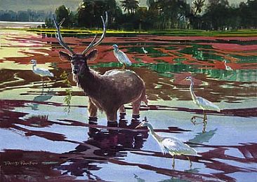 Raj Bagh Lake - India's large Sambar Deer feeding in Raj Bagh Lake by David Rankin