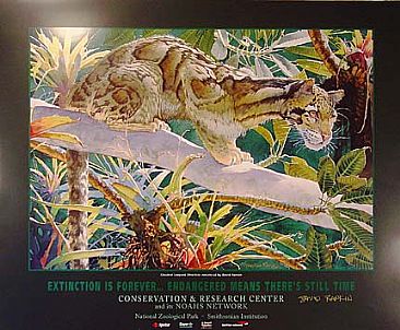 Smithsonian Clouded Leopard Poster / 1998 - Cat: Clouded Leopard in dense jungle cloud forest vegetation by David Rankin
