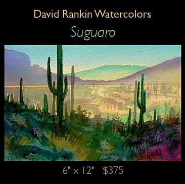 Suguaro -  by David Rankin