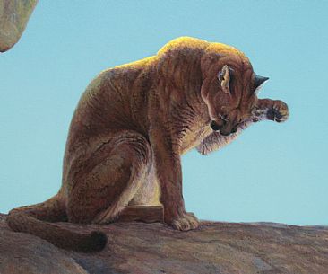 Big Sky Country - Detail - Cougar by Linda Rossin