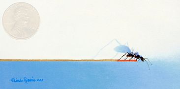 End of the Line (Sold) - Black Ant by Linda Rossin