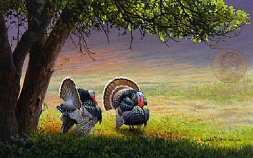 Fan Dancing / Miniature - Wild Turkey by Linda Rossin