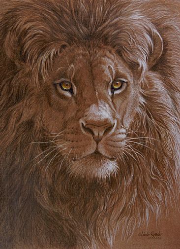 Future King (Sold) - African Lion by Linda Rossin