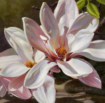 Magnolias (Sold) -  by Linda Rossin