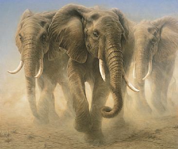 On the Move - African Elephants by Linda Rossin