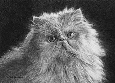 Purrrdy Please - Persian Cat by Linda Rossin