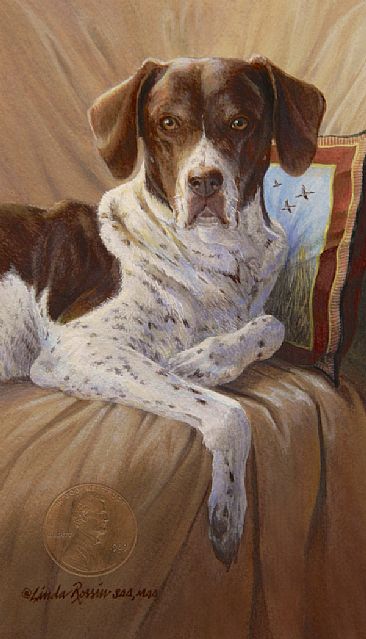 Reserved Seating / Miniature - German Shorthaired Pointer by Linda Rossin