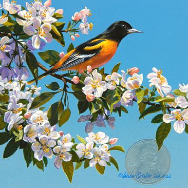 Spring Arrival - Baltimore Oriole  by Linda Rossin