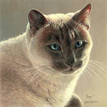 Sugar (Commission) - Domestic Feline by Linda Rossin