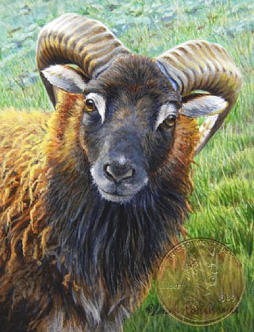 Wooly Bully - Soay Sheep, Ram by Linda Rossin