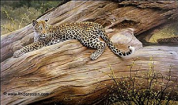 Minding Mamma - Young African leopard by Linda Rossin