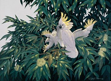 Outback - Sulphur Crested Cockatoos by Richard Sloan (1935-2007)