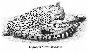 Serengeti Cheetah -  by Kirsten Bomblies
