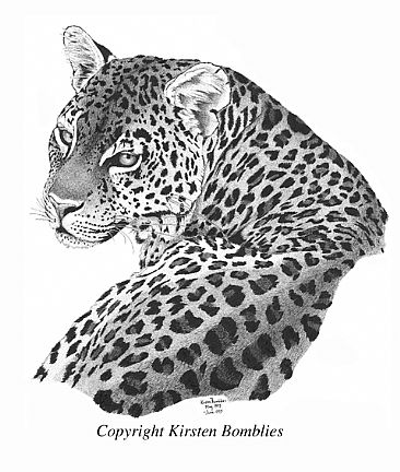Tanzania Leopard - African Leopard by Kirsten Bomblies