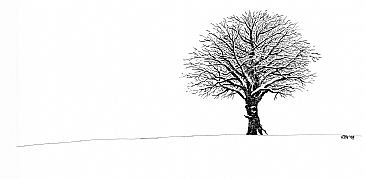 Winter -  by Kirsten Bomblies