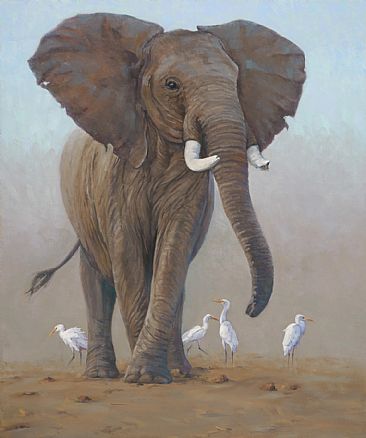 Veteran - old elephant by Eva Van Rijn