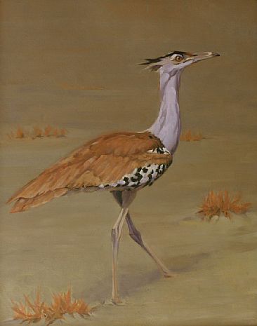 Kori Bustard - South African large bird by Eva Van Rijn