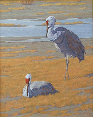 Sandhill Cranes - Sandhill Cranes by Eva Van Rijn