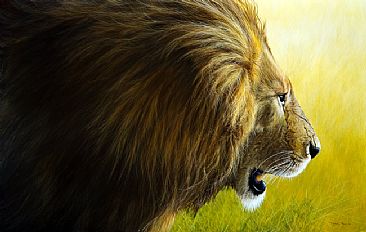 Enforcer - Masai Mara lion by Jeremy Paul