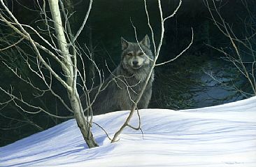 Emerging - wolf by Jeremy Paul