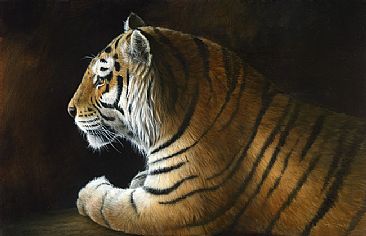 Tiger light - tiger by Jeremy Paul