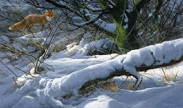 Winter hiding place - Fox and wookcock by Jeremy Paul